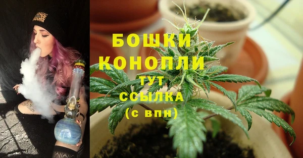 амф Белокуриха