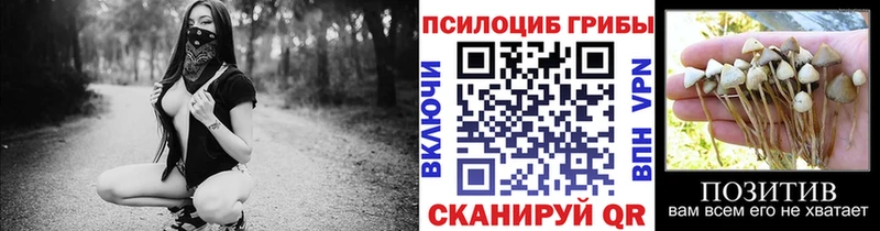 Галлюциногенные грибы ЛСД  Горнозаводск 